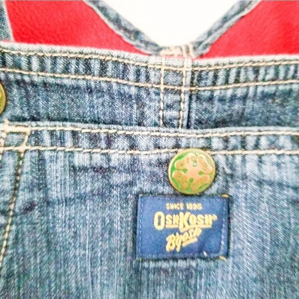Oshkosh bgosh overalls lined with fleece